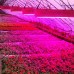 400W AC85-265V LED Hydroponic Full Spectrum Plant Flower Grow Panel Light Lamp 400leds Indoor New